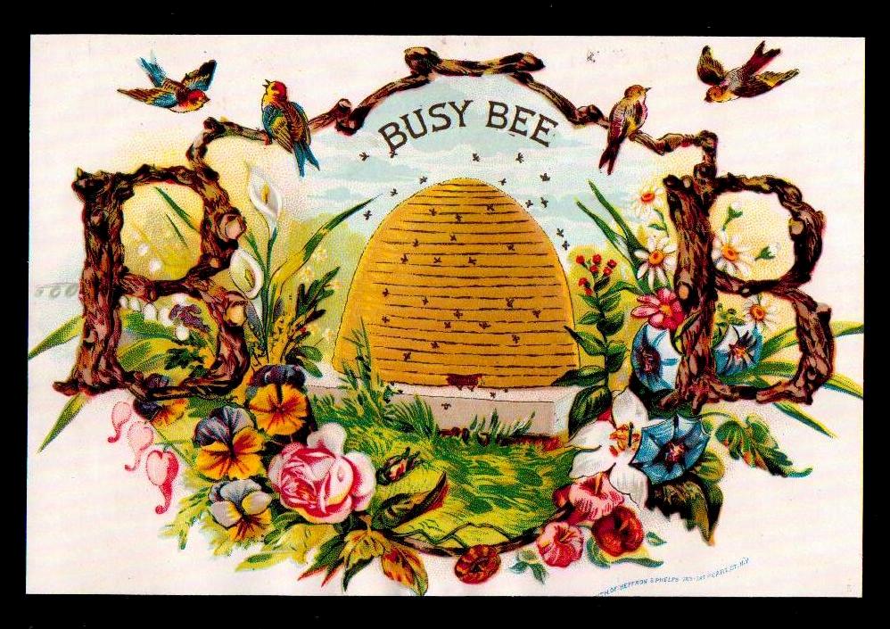 busy bee