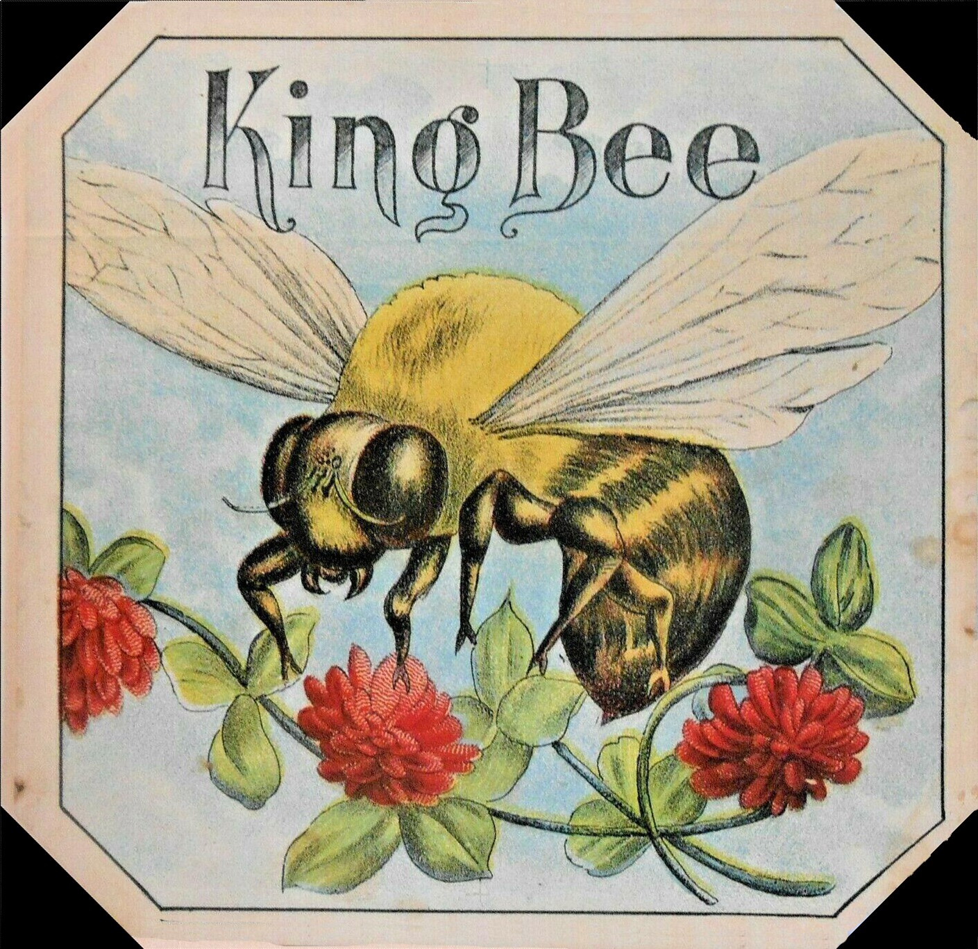 king bee